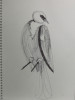 Untitled, Cheryl Laemmle, Drawing, Huntington Museum of Art