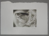 Set of Three Gouache Drawings with Cover Sheet: Box Turtle; 12 x Y.B and 12 x Y* 1/2 =A, Daryl Trivieri, Drawing, Huntington Museum of Art