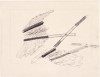 Untitled, Robert Lobe, Drawing, The University of Michigan Museum of Art