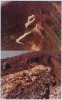 Paricutin Volcano Project, Peter Hutchinson, Photograph, The University of Michigan Museum of Art