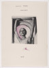 Hender, Lucio Pozzi, Volume/Portfolio, Albright-Knox Art Gallery