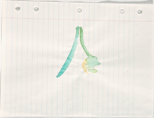Loose Leaf Notebook Drawings - Box 7 Group 2 (no. 1 of 12 images)