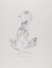 Untitled (Bird and Fish Series), Daryl Trivieri, Drawing, Weatherspoon Art Museum, The University of North Carolina at Greensboro