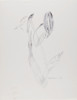 Untitled (Bird and Fish Series), Daryl Trivieri, Drawing, Weatherspoon Art Museum, The University of North Carolina at Greensboro