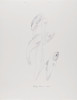 Untitled (Bird and Fish Series), Daryl Trivieri, Drawing, Weatherspoon Art Museum, The University of North Carolina at Greensboro