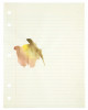 Untitled [notebook drawing], Richard Tuttle, Watercolor, Memphis Brooks Museum of Art