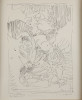 De Solo Aua Heteronomy, Charles Clough, Drawing, Plains Art Museum
