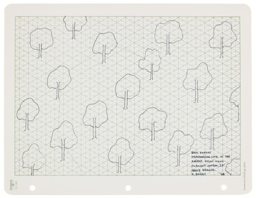 Basic Format Meandering Line in the Forest