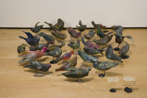 Pigeon Flock with Rats