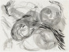 untitled, Lynda Benglis, Drawing, Pennsylvania Academy of the Fine Arts