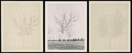 Walnut Tree Orchard Set L