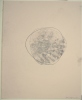 Untitled, Steve Keister, Drawing, The Arkansas Arts Center